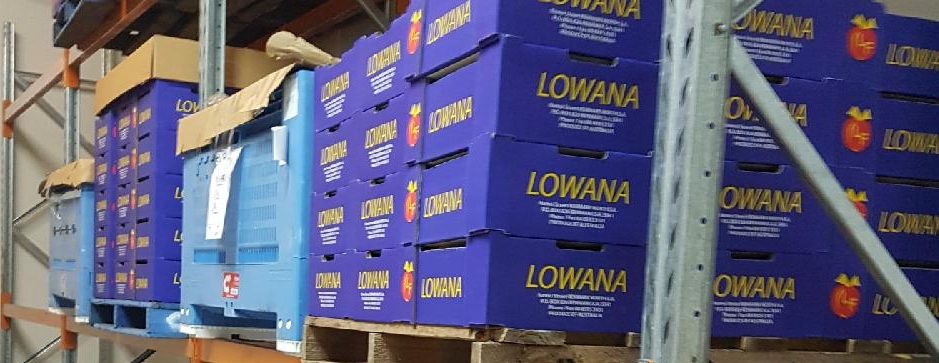 racking with pallets in a cold room containing blue boxes with Lowana written on them