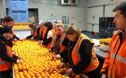 Foodbank SA Volunteer morning Jul 2018