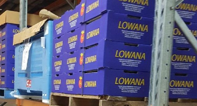 racking with pallets in a cold room containing blue boxes with Lowana written on them